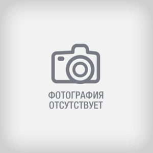 Петров Петр Петрович